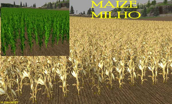 nova textura wheat barley 