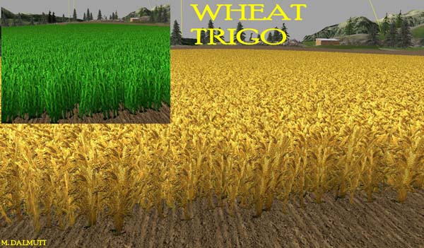 nova textura wheat barley 