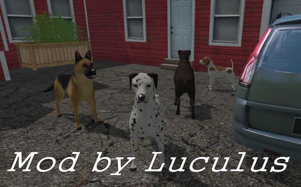placeable dogs