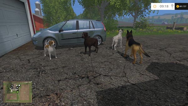 placeable dogs