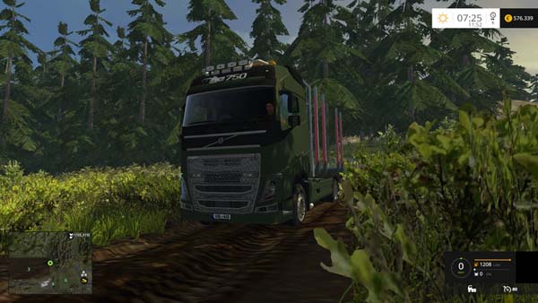 Alpental Forest Extreme