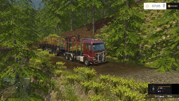 Alpental Forest Extreme