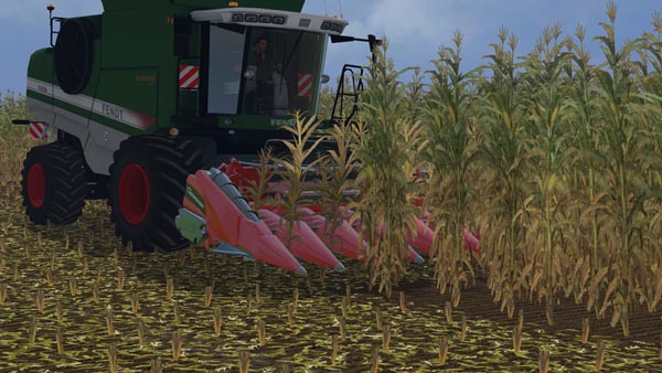Geringhoff maize header 