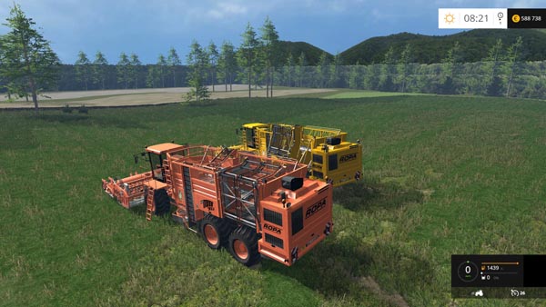 Ropa Euro Tiger Pack