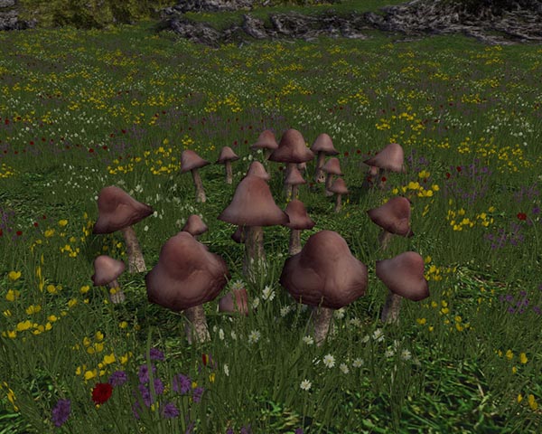 Mushrooms 
