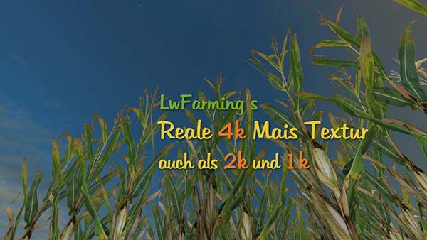 Reale 4k corn