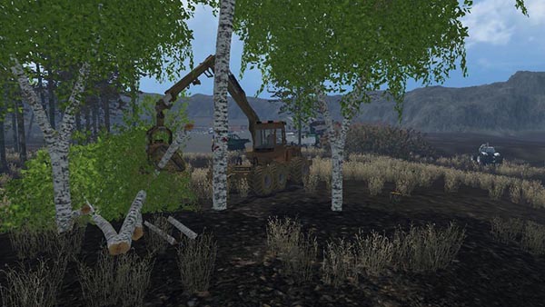 Birch cases without Harvester v 1.0