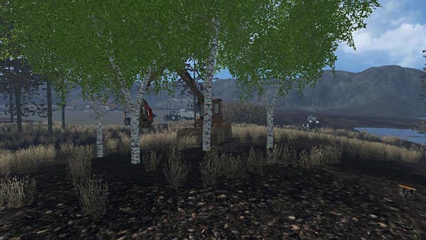 Birch cases without Harvester v 1.0
