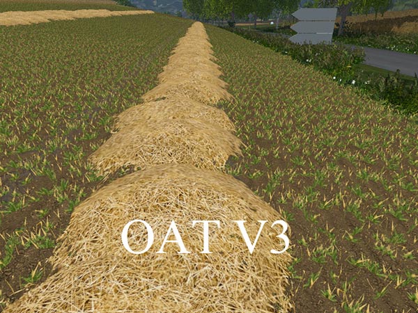 OAT TEXTURE