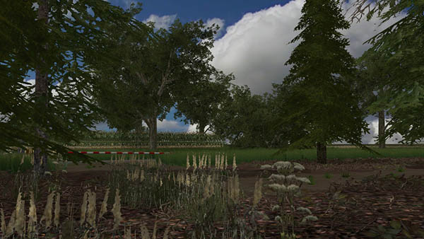 Im Norden Deutschlands