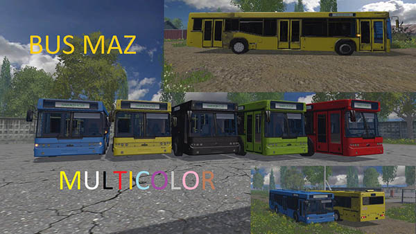 Maz bus Multicolor