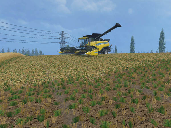 texture ChoppedStraw