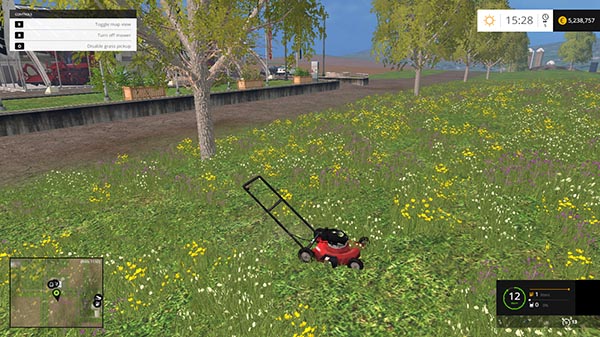 Cortador de Grama a Gasolina