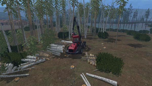 Winter Birch without leaves