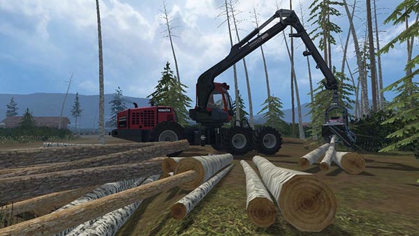 Winter Birch without leaves