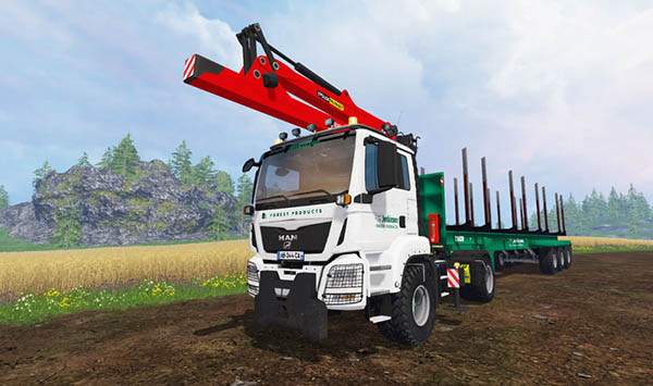 MAN TGS 41.480 Forest v 1.0 