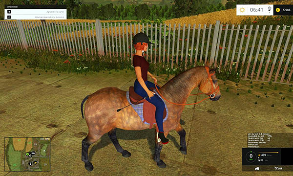 Equestrian woman drivable