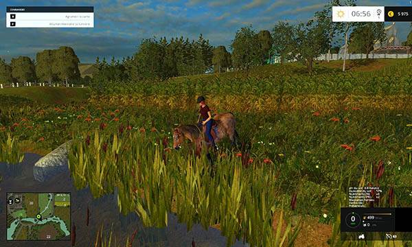 Equestrian woman drivable