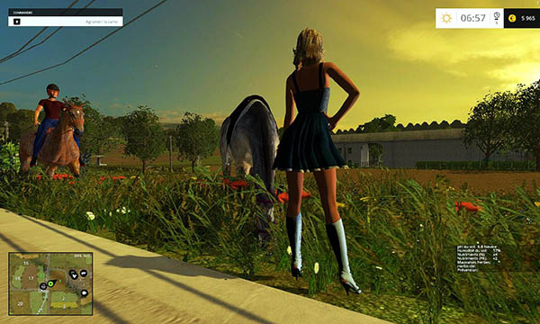 Equestrian woman v 2.0