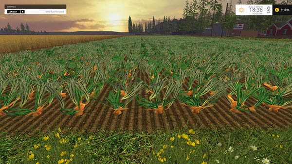 Multi-fruit production map v 2.0